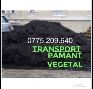 Bucureşti - vand pamant negru vegetal padure gradina gazon