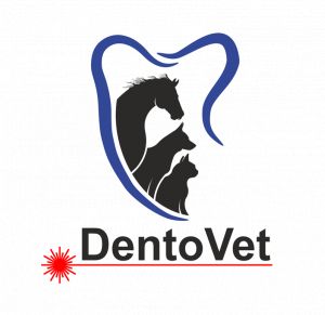 Cluj-Napoca - Cabinet veterinar de stomatologie - Dentovet