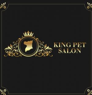 Chiajna - King Pet Salon Mobil